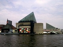 The Baltimore Aquarium