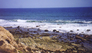 The Pacific Coastline at Crystal Cove Nat'l Park