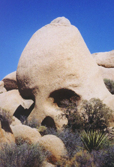 Skull Rock in Joshua Tree Park